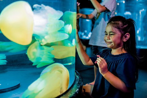 SEA LIFE Sydney Aquarium Entrance Ticket - Restaurant Guide 5