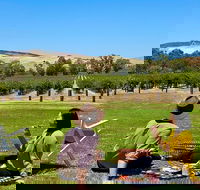 Private Picnic and Wine Tasting Experience in Barossa Valley - Restaurant Guide