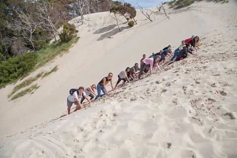 3 Day Tasmanian Wild West Coast Tour From Hobart To Launceston - Restaurant Guide 2
