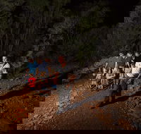 Alice Springs Desert Park Nocturnal Tour - Restaurant Guide