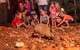 Alice Springs Desert Park Nocturnal Tour - thumb 1