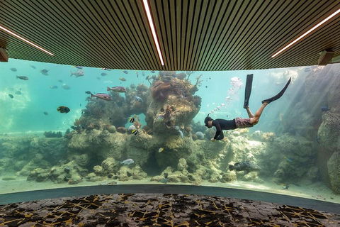 Whitehaven Beach And Daydream Island Cruise - Restaurant Guide 4