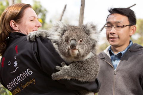 Bonorong Wildlife Park And Richmond Afternoon Tour From Hobart - Restaurant Guide 0