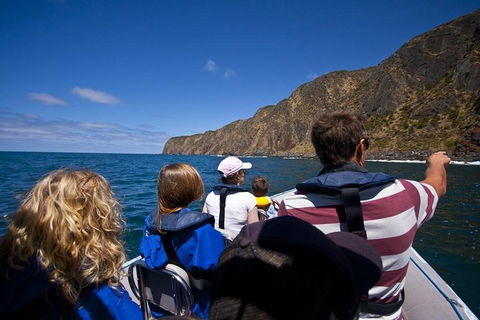 Seal Island Boat Tour From Victor Harbor - Restaurant Guide 0