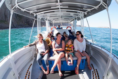 Seal Island Boat Tour From Victor Harbor - Restaurant Guide 1