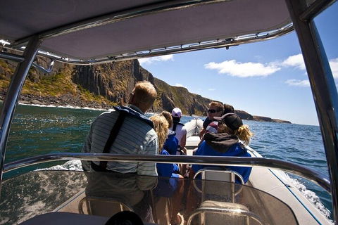 Seal Island Boat Tour From Victor Harbor - Restaurant Guide 2