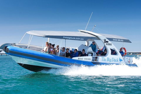 Seal Island Boat Tour From Victor Harbor - Restaurant Guide 3