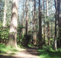 Dandenong Ranges Private Tour Including William Ricketts Sanctuary - Restaurant Guide
