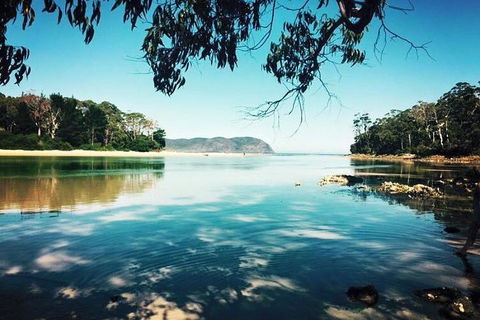 Full-Day Guided Bruny Island Tour From Hobart - Restaurant Guide 1