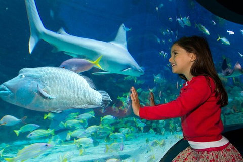 Melbourne BIG Ticket - LEGOLAND Discovery And SEA LIFE Melbourne - Restaurant Guide 1