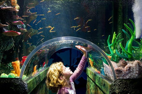 Melbourne BIG Ticket - LEGOLAND Discovery And SEA LIFE Melbourne - Restaurant Guide 2