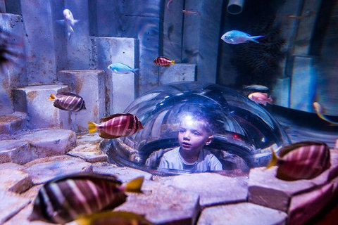 Melbourne BIG Ticket - LEGOLAND Discovery And SEA LIFE Melbourne - Restaurant Guide 5