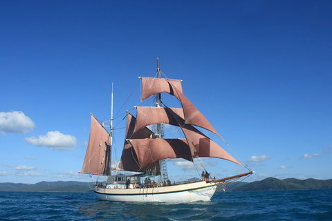 Sydney Harbour Tall Ship Whale & Sail - Whale Watching Cruise - Restaurant Guide 1