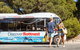 Discover Rottnest With Ferry & Bus Tour From Perth Or Fremantle - thumb 1