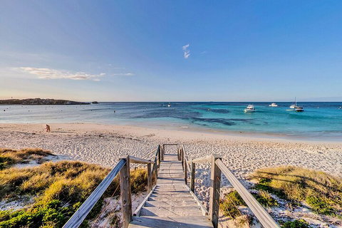 Discover Rottnest With Ferry & Bus Tour From Perth Or Fremantle - Restaurant Guide 4
