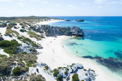 Discover Rottnest With Ferry & Bus Tour From Perth Or Fremantle - Restaurant Guide 5