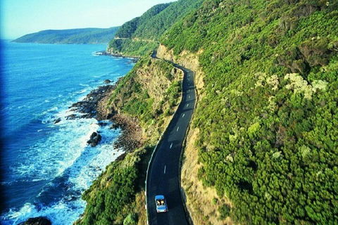 Melbourne Super Saver: Great Ocean Road + Mornington Peninsula + Attraction Pass - Restaurant Guide 0