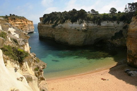Melbourne Super Saver: Great Ocean Road + Mornington Peninsula + Attraction Pass - Restaurant Guide 3