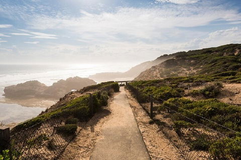 Melbourne Super Saver: Great Ocean Road + Mornington Peninsula + Attraction Pass - Restaurant Guide 4