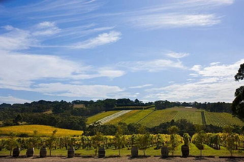 Melbourne Super Saver: Great Ocean Road + Mornington Peninsula + Attraction Pass - Restaurant Guide 5