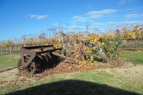 Swan Valley Tour From Perth: Wine, Beer And Chocolate Tastings - Restaurant Guide 3