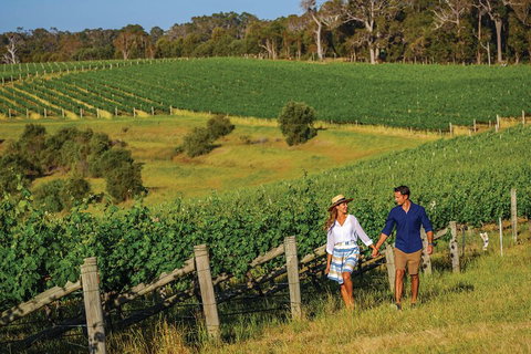 10 Day Perth To Adelaide Private Tour - The Great Australian Wilderness Journey - Restaurant Guide 0