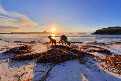 10-Day Perth To Adelaide Adventure Tour - Restaurant Guide 1