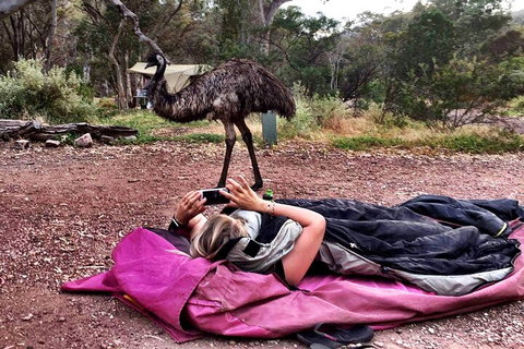 6 Day Esperance & Margaret River Adventure Tour - Restaurant Guide 5