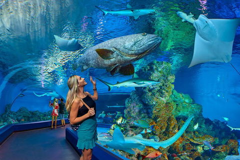 Cairns Aquarium Admission Ticket - Restaurant Guide 3