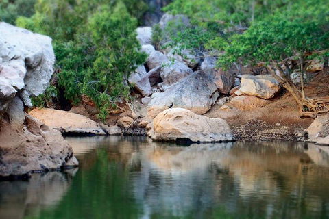 Windjana Gorge And Tunnel Creek 4WD Tour From Broome - Restaurant Guide 5