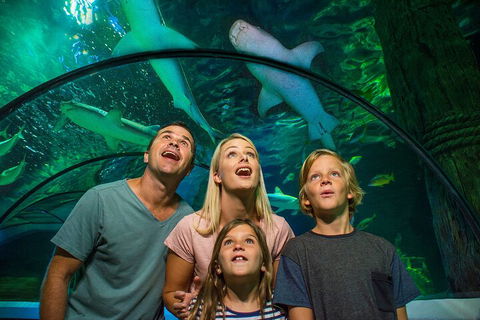 SEA LIFE Sunshine Coast Aquarium Entrance Ticket - Restaurant Guide 3