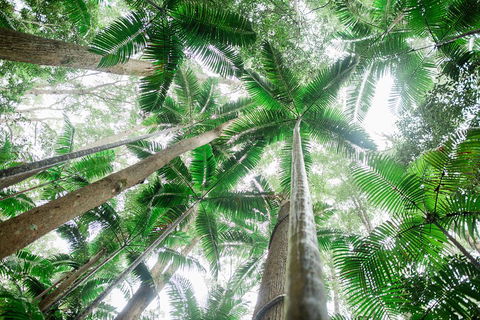 Fraser Explorer K'gari 2-Day Tour - Restaurant Guide 2