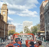 Hobart Hop-On Hop-Off Bus  kunanyi/Mt Wellington Tour - Restaurant Guide