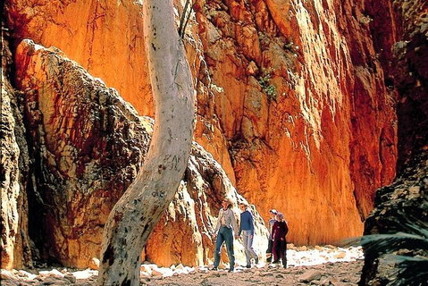 West MacDonnell Ranges Day Trip From Alice Springs - Restaurant Guide 3