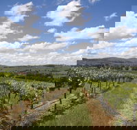 Hunter Valley Wine Tour from Sydney incl Lunch Cheese Chocolate and Distillery - Restaurant Guide