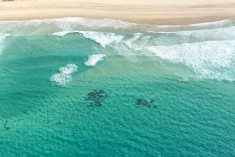 Coastal Helicopter Shared Flight - 20 Minutes - Restaurant Guide 4