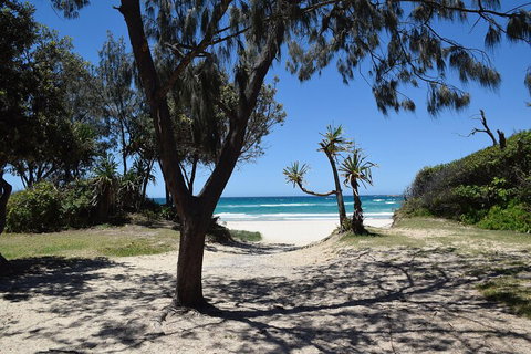 Brisbane Like A Local Customized Private Tour - Restaurant Guide 3