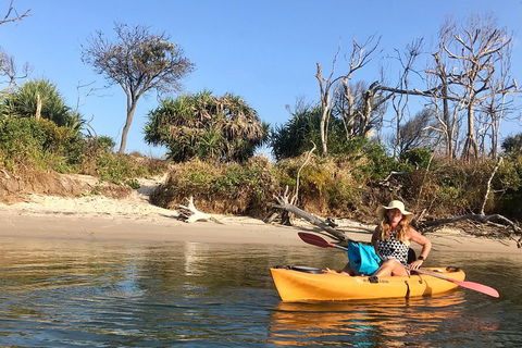 1-Hour Single Or Double Kayak Hire On Golden Beach, Caloundra - Restaurant Guide 4