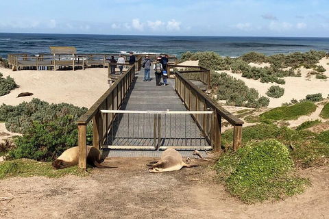 Kangaroo Island 4WD Tour - Best Of KI - Restaurant Guide 2