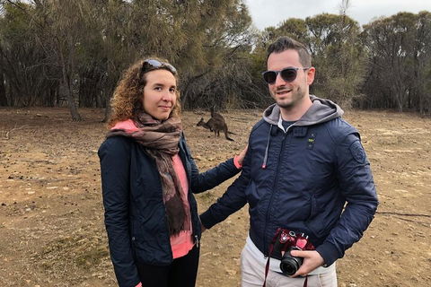 Kangaroo Island 4WD Tour - Best Of KI - Restaurant Guide 3