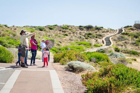 Margaret River Coastal And Wildlife Eco Trip From Busselton Or Dunsborough - Restaurant Guide 0