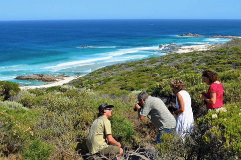 Margaret River Coastal And Wildlife Eco Trip From Busselton Or Dunsborough - Restaurant Guide 2