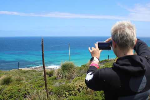 Margaret River Coastal And Wildlife Eco Trip From Busselton Or Dunsborough - Restaurant Guide 3