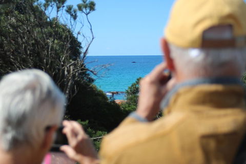 Margaret River Coastal And Wildlife Eco Trip From Busselton Or Dunsborough - Restaurant Guide 5